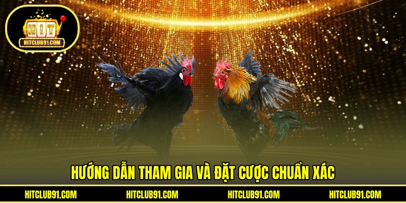 Hướng dẫn tham gia và đặt cược chuẩn xác