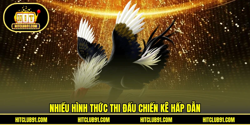Nhiều hình thức thi đấu chiến kê hấp dẫn