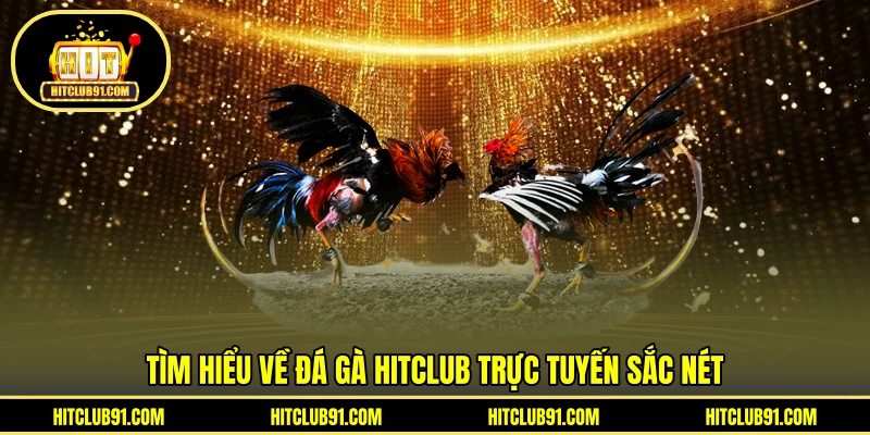 Tìm hiểu về đá gà HITCLUB trực tuyến sắc nét
